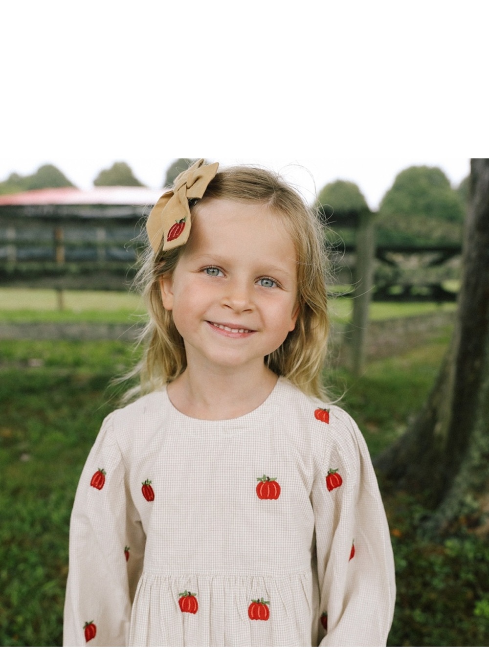 Pink Chicken Cream Dress with Pumpkin Embroidery